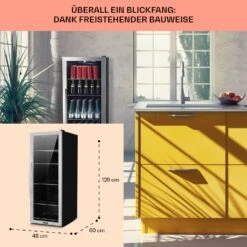 Beersafe 6XL Kühlschrank 201 Liter 5 Böden Panoramaglastür Edelstahl -Küchengeräte 10031930 DE 0006 usp
