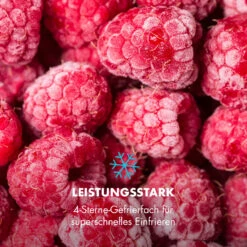 Garfield Eco Mini-Gefrierschrank 4-Sterne 34 Liter Kompakt -Küchengeräte 10032853 de 0006 logo