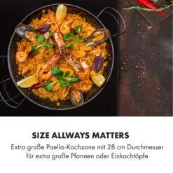 Delicatessa 3 Induktionskochfeld 3 Zonen 5800W Glaskeramik Schwarz -Küchengeräte 10034193 de 0003 logo