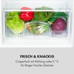 Cool Cousin Kühl-Gefrier-Kombination 70/11 Liter 40 DB -Küchengeräte 10034547 de 0006 logo