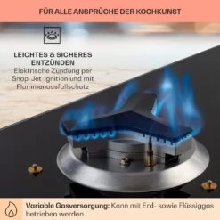 Trifecta 5 Gaskochfeld 5-flammig Triangle-Brenner Glaskeramik -Küchengeräte 10035470 de 0005 usp