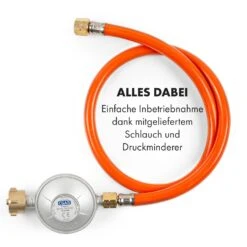 Goldflame Domino Gaskochfeld 2-flammig Messing-Brenner Glaskeramik -Küchengeräte 10035498 de 0009 logo