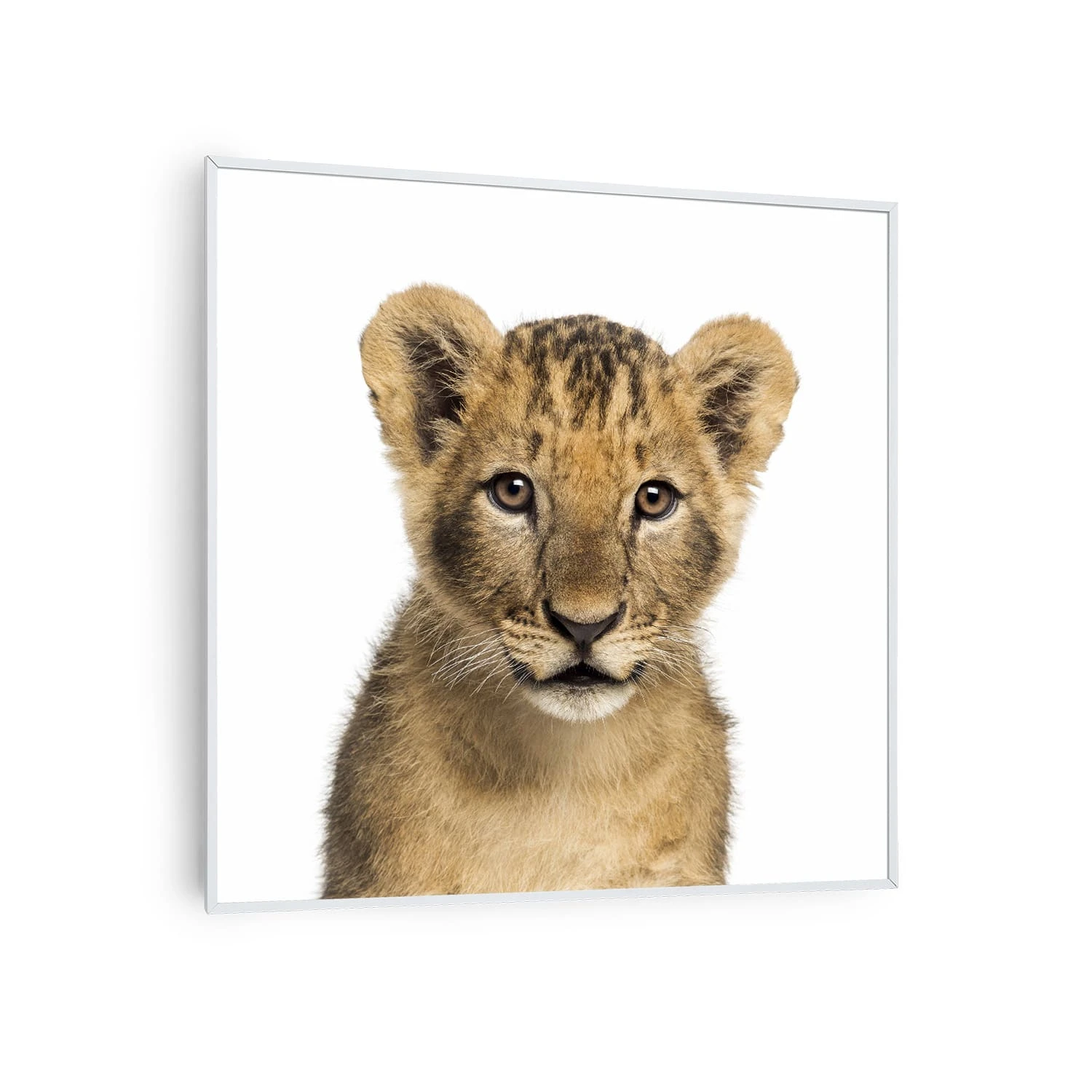 Wonderwall Air Art Smart Infrarotheizung Löwe 60x60cm 350W 1 Wonderwall Air Art Smart Infrarotheizung Löwe 60x60cm 350W