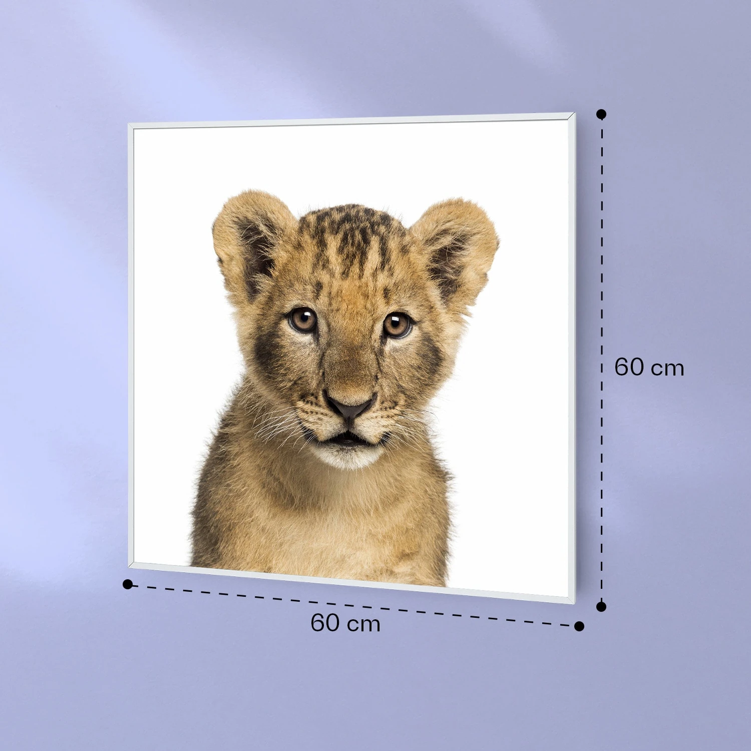 Wonderwall Air Art Smart Infrarotheizung Löwe 60x60cm 350W 7 Wonderwall Air Art Smart Infrarotheizung Löwe 60x60cm 350W – Bild 7